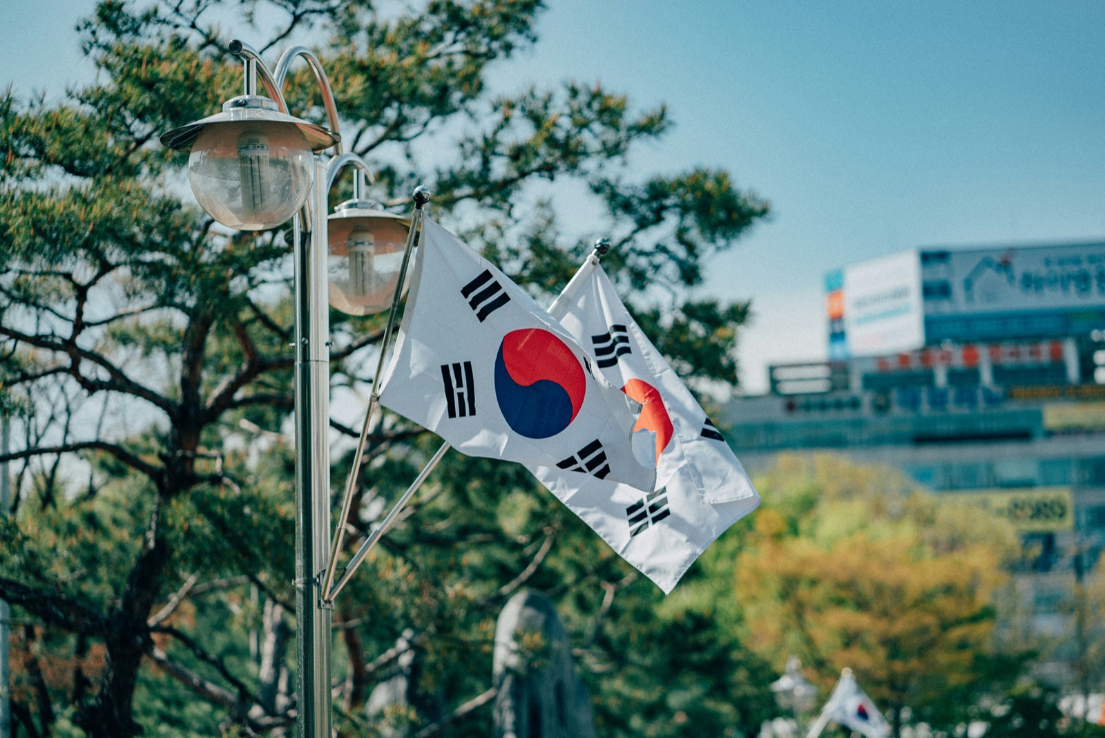 Korean flags on a street